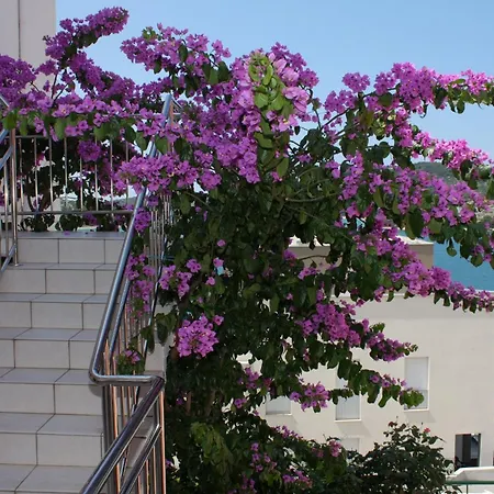 Apartments By The Sea Tisno, Murter - 5130 Tisno